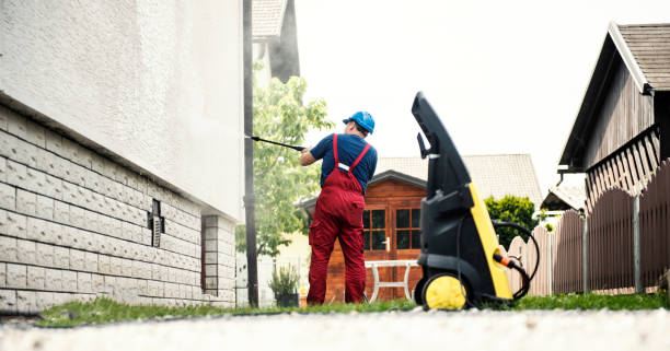 Best Roof Cleaning and Mildew Removal in Cloverport, KY